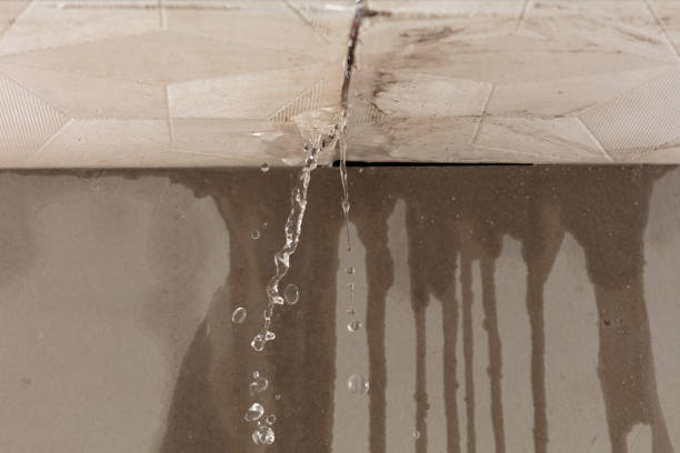 Professional Water Extraction technician working in Dundee, MI